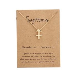 Sagittarius ♐️ Zodiac Necklace